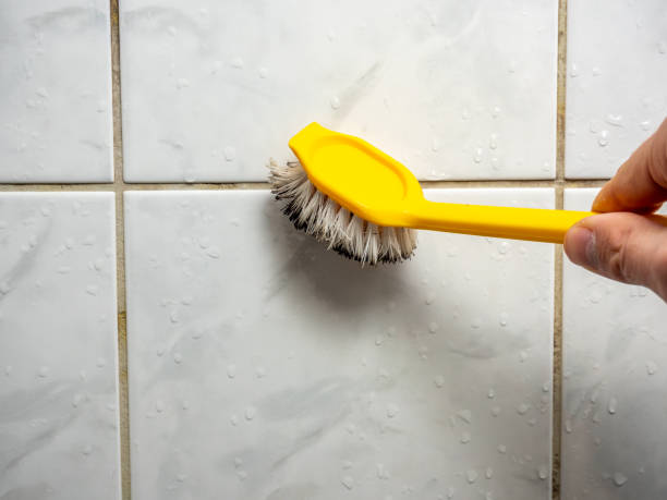 Best Emergency Mold Removal  in Gordonsville, VA