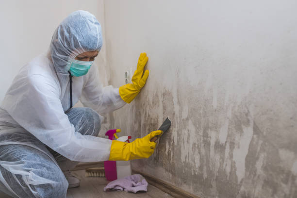 Gordonsville, VA Mold Removal Company