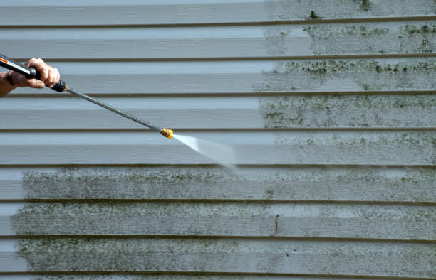 Best Attic Mold Removal  in Gordonsville, VA