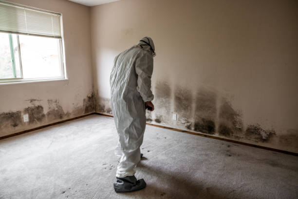 Best Residential Mold Removal  in Gordonsville, VA